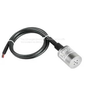 Submersible Level Transducer thumbnail-1