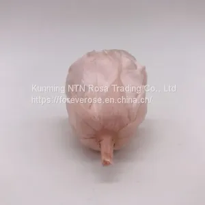 Preserved Rose Flowers for Wedding Decoration Flower Arrangement thumbnail-3