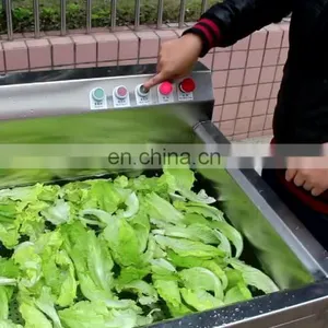 Automatic Ozone Bubble Mushroom Vegetable Washer Orange Grape Strawberry Fruit Washing Machines thumbnail-1