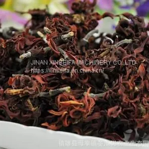 Magnolia Dried Tea Drying Oven thumbnail-4
