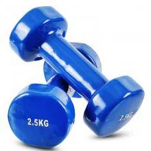 China Manufacture Wholesale 2.5 KG Vinyl Dumbbell thumbnail-1