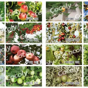 A Functional Fertilizer Cocoly That Can Regulate Soil pH thumbnail-3