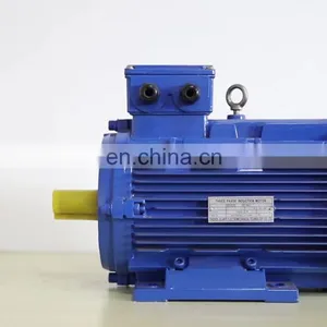 Electric Three Phase Motor 2.2kw 3000rpm China Supplier Quality Design Three Phase ac Best Motor Water Pump Ye3 Electric Motor thumbnail-1