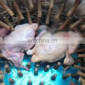Chicken Plucking Machine Parts / Poultry Slaughtering Equipment / Quail Feather Plucking Machine thumbnail-1