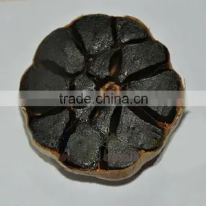 Black Garlic thumbnail-1