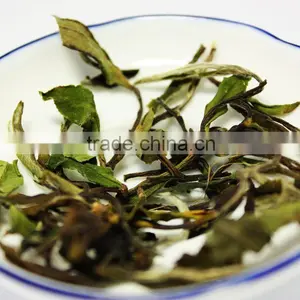 Organic WhiteTea White Peony Loose Leave Tea thumbnail-1