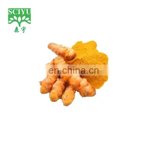 Color Material of Turmeric Root Extract Powder Curcumin 95% thumbnail-2