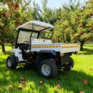 V-Twin 1000CC UTV 4x4 EFI Automatic Differential Lock Sport SSV EPS Nitrogen Shocks High Performance Off-road 4 Wheeler Factory thumbnail-5