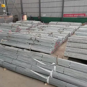 Steel Rebar＆Galvanized Steel Bar，Q235B, Q355B, HRB400, HRB500, S235JR, S355JR, A36, A615 Gr 60 thumbnail-4