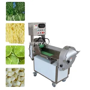Washing, Cutting, Blanching Machine for Fruit and Vegetable Processing Line1 thumbnail-6