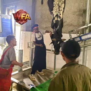 WFA Professional Cattle Slaughtering Line Equipment Cow Slaughter Machine Complete Sheep Killing Project for Factory thumbnail-5