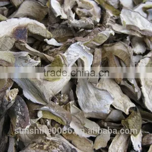 White Porcini Mushroom Dried Boletus Price With High Quality thumbnail-3