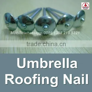 China 1 Lb. Electro Galvanized Roof Nail thumbnail-2