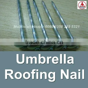 China 1 Lb. Electro Galvanized Umbrella Head Roofing Nails thumbnail-3