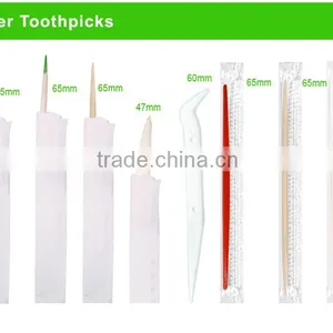 PP Food Grade pp Plastic Dental Toothpicks thumbnail-3