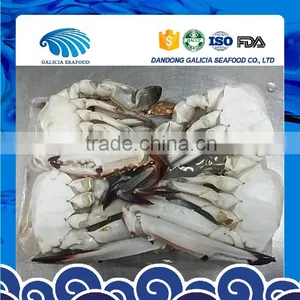 Frozen Half-Cut Blue Swimming Crabs thumbnail-1