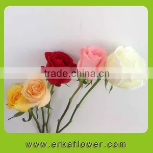 Wide Varieties Best Selling Fresh Cut Roses From Ecuador Directly From the Farm thumbnail-5