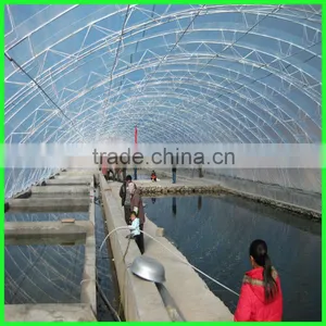 Woven Plastic Greenhouse Film for Sale,floor Protective Greenhouse Film thumbnail-6