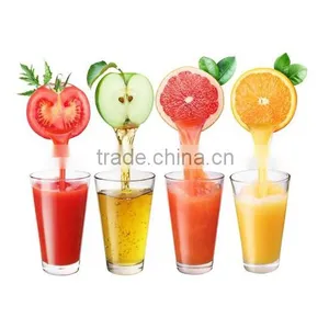 Hot Sale Commercial Fruit Juicer, Fruit Juicer Machine thumbnail-2
