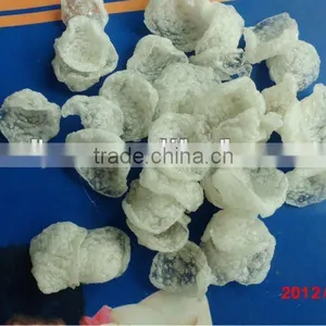 Modified Starch Extruder thumbnail-2