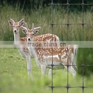 100%pp Strong Plastic Fencing Net for Deer&chicken Manufacture thumbnail-1