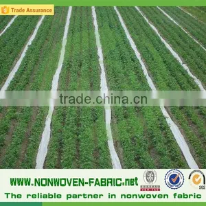 Landscape Nonwoven Fabric Agriculture Nonwoven Fabric 100% Polypropylene Price per kg thumbnail-2