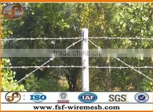 Anping Factory Galvanized Barbed Wire thumbnail-3