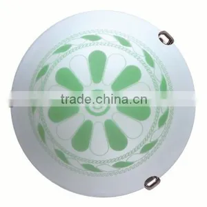 Factory Supply Elegant Body Ceiling Light, Ceiling Lights Ip20 Led With CE Certificate thumbnail-1