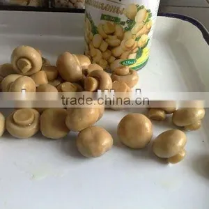 IFS Approval Canned Whole Mushroom thumbnail-1