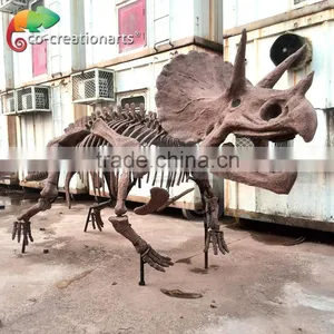 High Simulation Fiberglass Triceratops Dinosaur Fossils thumbnail-2