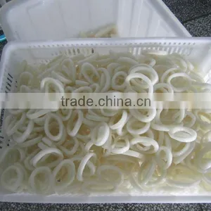 Squid Rings thumbnail-1