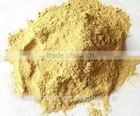 Ginger Powder High Quality Competitive Price Best Selling thumbnail-1