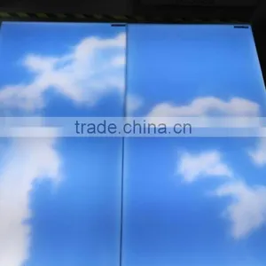 IP44 Input Voltage 100-240VAC 600X600MM 48W Frameless CE LED Sky Light thumbnail-3