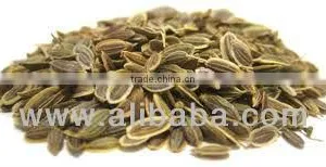 Dill Seeds thumbnail-1