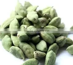 2016 New Arrival Fresh Cardamom thumbnail-1