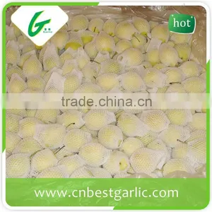 Boxing Fresh Shandong Pear thumbnail-1