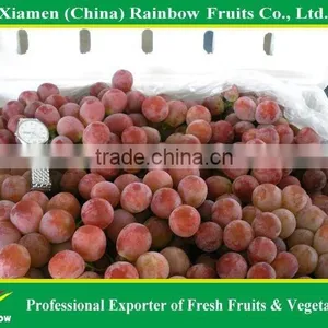 Fresh Red Globe Grape From Yunnan Xinjiang China thumbnail-4