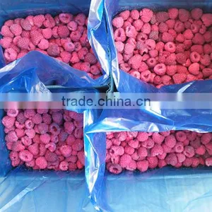 Names All Fruits Frozen Fresh Raspberry 2016 Newcrop Iqf Raspberries thumbnail-1