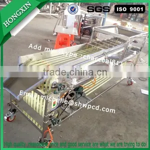 Fruit Sorting Machine, Dates Grading Machine, Fruit Sorter Machine thumbnail-4