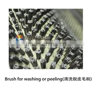 MSTP-500 Large Capacity Potato Polishing Polisher Machine thumbnail-4