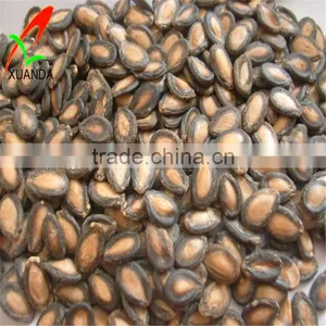 Black Watermelon Seeds thumbnail-1