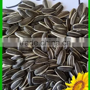 New Crop Bulk Chinese Sunflower Seeds 5009 thumbnail-1