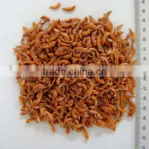 Koi Food Gammarus Shrimp thumbnail-1