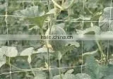 PE+ UV Plant Support Net/mesh/Garden Mesh thumbnail-3