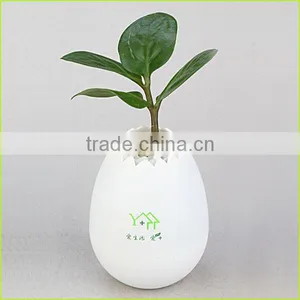 2015 New Arrival 9 Colorful Mini Plastic Flower Pot Without Drainage Holes thumbnail-1