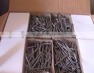 Common Iron Nails With Factory Price thumbnail-1
