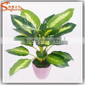 Indoor Decor Cheap Bonsai Plants for Sale Wholesale Artificial Bonsai Tree and Plant thumbnail-6