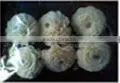 CHORKY Flower Diffuser thumbnail-1