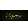 Trivox Global Security Group company overview - view 1 thumbnail