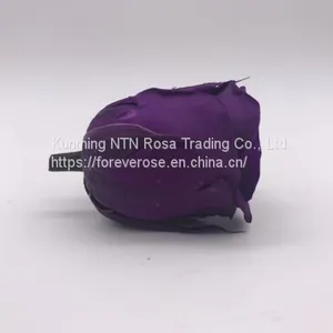 A Grade Fresh Cut Roses Preserved Flower From Ecuador Wholesale Longlasting Flower thumbnail-4